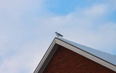 5 tips för att anlita rätt takläggare