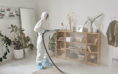 Hur hittar man rätt saneringsfirma?